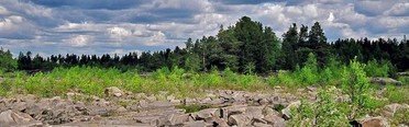 ИП Четвертев В.В.. Фото 2093.