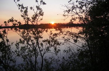 ИП Четвертев В.В.. Фото 2096.