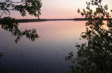 ИП Четвертев В.В.. Фото 2097.