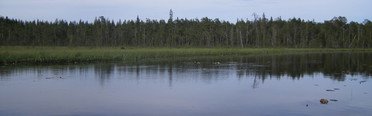 ИП Четвертев В.В.. Фото 2098.