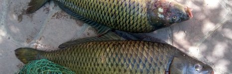 Дарданеллы. Фото 2122.