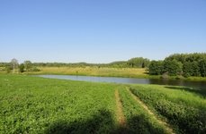 Wow-Fish. Фото 2126.