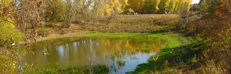 Белые Холмы. Фото 2230.