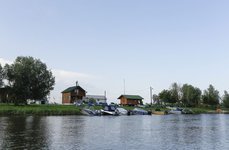 Маки. Фото 2238.