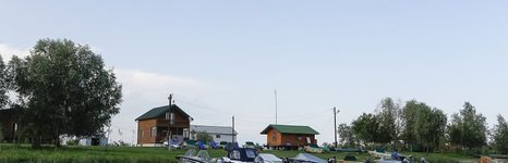 Маки. Фото 2238.