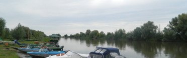Маки. Фото 2239.