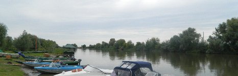 Маки. Фото 2239.