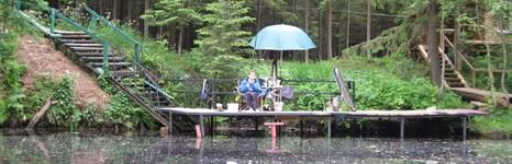 Аист. Фото 225.