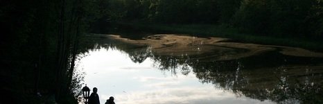 Аист. Фото 228.