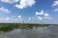 Ривер Хаус Отель. Фото 2298.