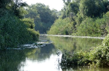 Ривер Хаус Отель. Фото 2301.