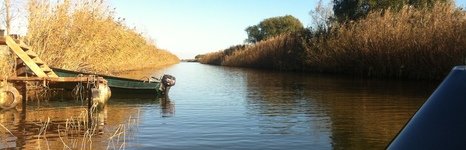 Моряна. Фото 2310.