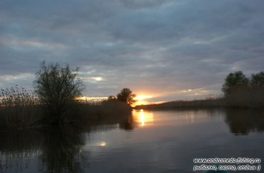 Андромеда. Фото 2343.