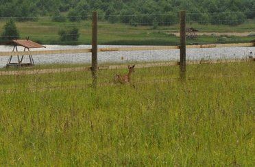 Львовские пруды. Фото 2347.