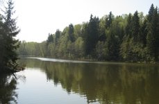 Львовские пруды. Фото 2356.