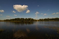Львовские пруды. Фото 2358.
