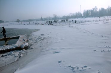 Белавино. Фото 2367.