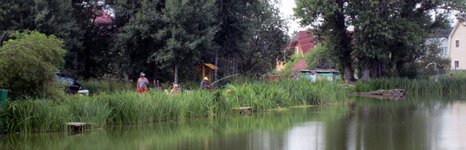 Белавино. Фото 2371.