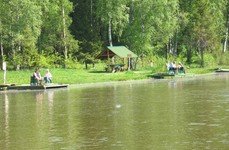 Хомяково. Фото 2403.