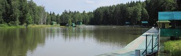 Хомяково. Фото 2404.