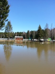 Хомяково. Фото 2407.