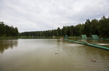 Хомяково. Фото 2409.