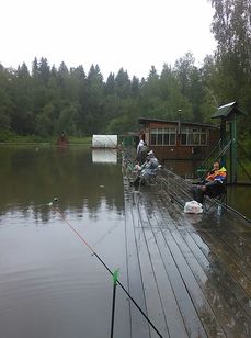 Хомяково. Фото 2415.