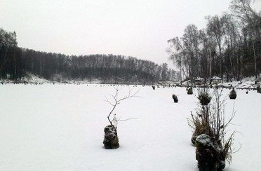 Лагуна. Фото 2441.