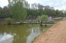 У Соловьевых. Фото 2449.