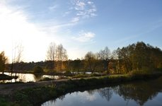 У Соловьевых. Фото 2450.