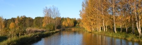 У Соловьевых. Фото 2452.