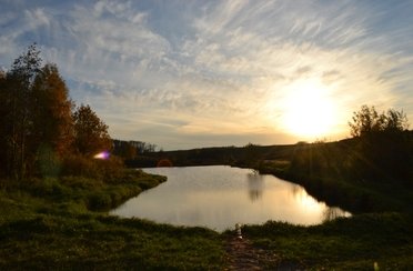 У Соловьевых. Фото 2453.