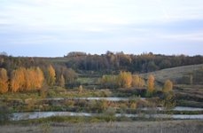 У Соловьевых. Фото 2455.