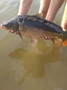 Русская рыбалка. Фото 2484.