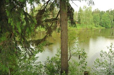 Русская рыбалка. Фото 2495.