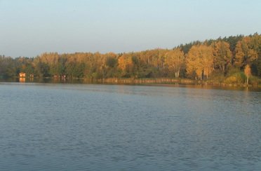 Велинка. Фото 2523.
