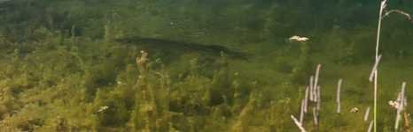 Веретьево. Фото 2551.