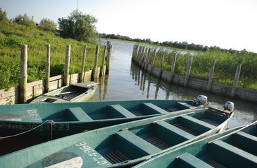 Ладейная. Фото 2576.