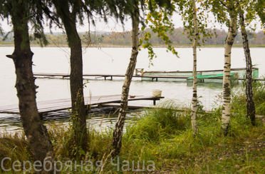 Серебряная чаша. Фото 2618.