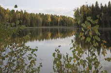 Заречье. Фото 2627.