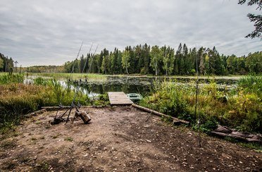 Заречье. Фото 2631.