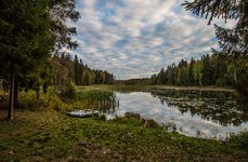 Заречье. Фото 2637.