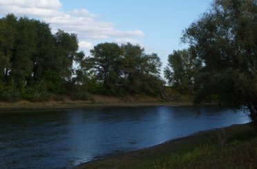 Клевый берег. Фото 2667.
