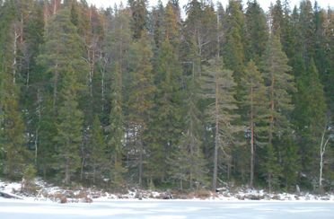 Отдых на озерах Сегозерья. Фото 2671.