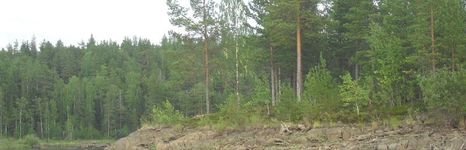 Отдых на озерах Сегозерья. Фото 2672.