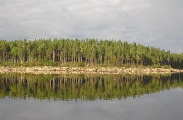 Отдых на озерах Сегозерья. Фото 2677.