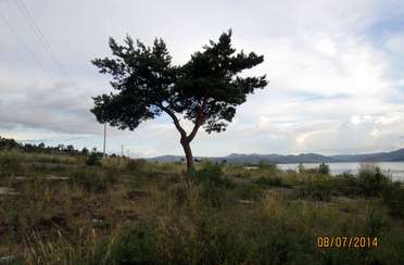 Зазеркалье. Фото 2684.