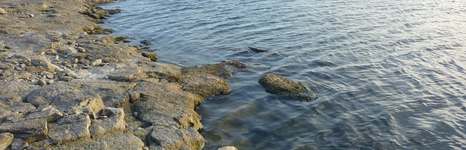 Зазеркалье. Фото 2691.