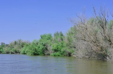 Русь-Чаган. Фото 2712.