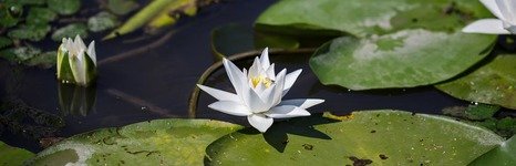 Прохладная. Фото 2732.